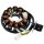Alternateur Stator pour Her Chee Cat 125 1998-2002
